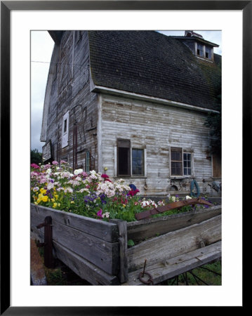 Old Barn With Wagon In Meadow, Whitman County, Washington, Usa by Julie Eggers Pricing Limited Edition Print image