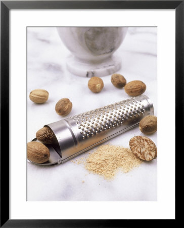 Nutmeg, Myristica Fragrans by Kidd Geoff Pricing Limited Edition Print image