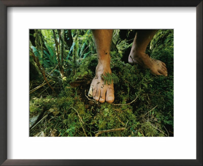 Close View Of Bare Feet On Moss-Covered Soil by Joel Sartore Pricing Limited Edition Print image