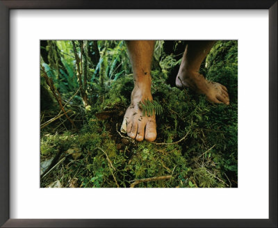Close View Of Bare Feet On Moss-Covered Soil by Joel Sartore Pricing Limited Edition Print image