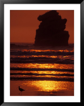 Morro Bay, Morro Rock, California, Usa by Nik Wheeler Pricing Limited Edition Print image