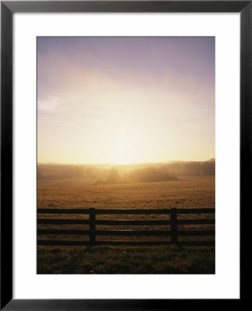 Twilight On A Fenced Grassland by Bill Curtsinger Pricing Limited Edition Print image
