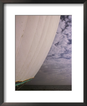 View Of The Front Sail Of A Sailboat Near Cay Caulker, Belize by Ed George Pricing Limited Edition Print image