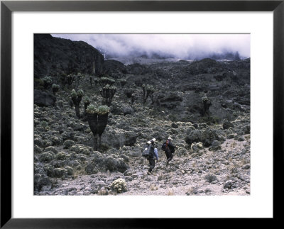 Carrying Equipment Through Desert Landscape, Kilimanjaro by Michael Brown Pricing Limited Edition Print image