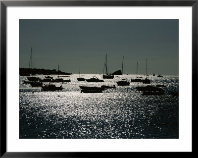 An Afternoon Sun Highlights Fishing Boats Docked In Harbor Waters by Stacy Gold Pricing Limited Edition Print image