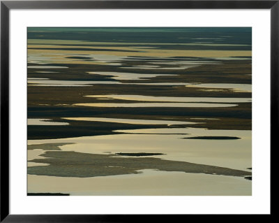 Twilight View Of Marshland by Norbert Rosing Pricing Limited Edition Print image