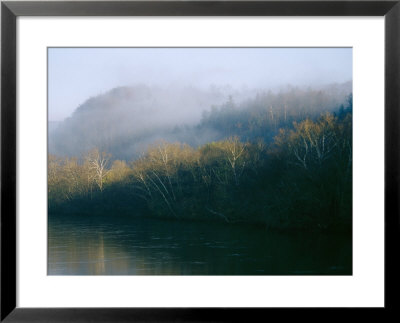 Fog Covers The Sycamore Trees That Grow Along The James River by Raymond Gehman Pricing Limited Edition Print image
