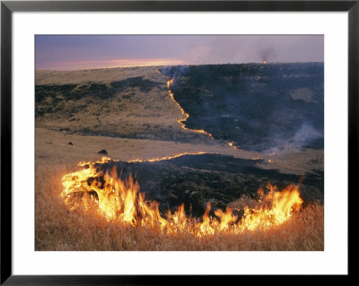 Prairie Fire by Mark Thiessen Pricing Limited Edition Print image