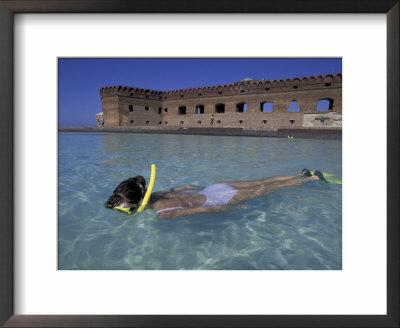 Snorkelling Around Old Fort, Puerto Rico by Greg Johnston Pricing Limited Edition Print image