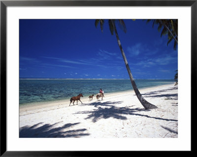 Horses On Beach, Tambua Sands Resort, Coral Coast, Fiji by David Wall Pricing Limited Edition Print image