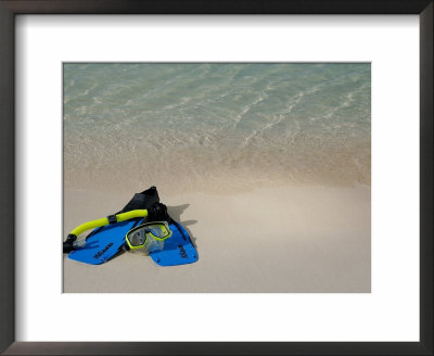 Blue Snorkeling Gear, Renaissance Island, Aruba, Caribbean by Lisa S. Engelbrecht Pricing Limited Edition Print image