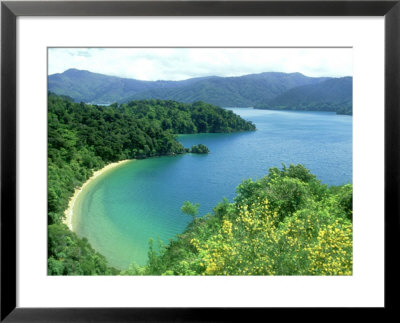 Queen Charlotte Sound, S. Island, New Zealand by Robin Bush Pricing Limited Edition Print image