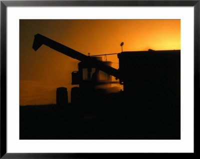 Harvesting Grain At Sunset, Canada by Rick Rudnicki Pricing Limited Edition Print image