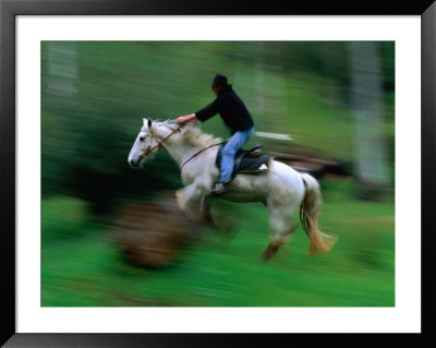 Horse And Rider Jumping Over Fallen Log Mansfield, Victoria, Australia by John Hay Pricing Limited Edition Print image