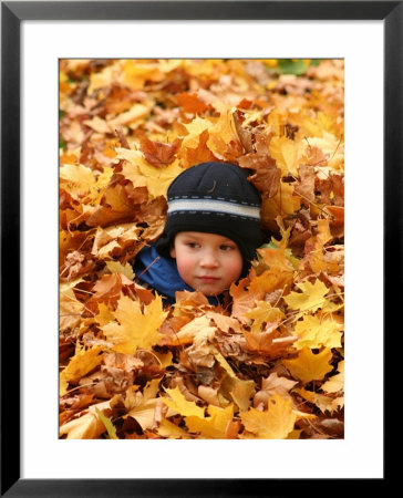 Child Playing In Leaves In Kadriorg Park, Tallinn, Estonia by Jonathan Smith Pricing Limited Edition Print image