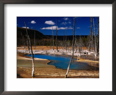 Black Sand Basin And Opalascent Pool, Yellowstone National Park, Wyoming, Usa by Carol Polich Pricing Limited Edition Print image
