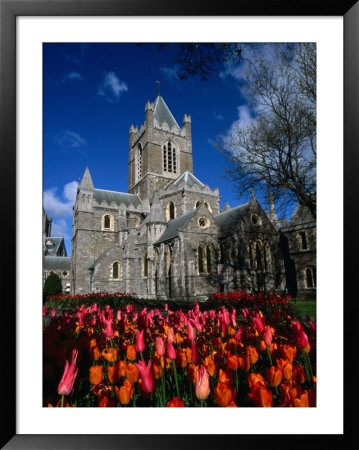 Christ Church Cathedral Surrounded By Tulips In Bloom, Dublin, County Dublin, Ireland, Leinster by Martin Moos Pricing Limited Edition Print image