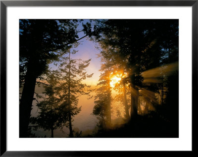 Sunrise Fog On The Madison River, Yellowstone National Park, Wyoming, Usa by Chuck Haney Pricing Limited Edition Print image