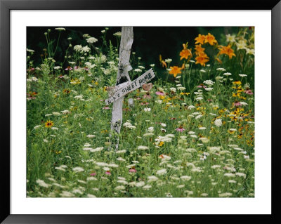 An Dilapidated Wooden Sign Encircled By Sunflowers, Carnations, And Other Flowers by Joel Sartore Pricing Limited Edition Print image