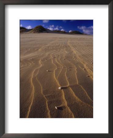 Patterns In Sand Dunes Formed By The Blowing Wind by Jason Edwards Pricing Limited Edition Print image