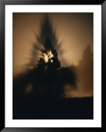The Moon And A Tree Reflected In Water by Sam Abell Pricing Limited Edition Print image
