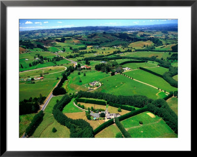 Farmland, Brookby, South Auckland, New Zealand by David Wall Pricing Limited Edition Print image