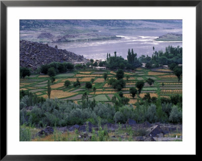 Agriculture Fields, Indus Valley, Pakistan by Gavriel Jecan Pricing Limited Edition Print image