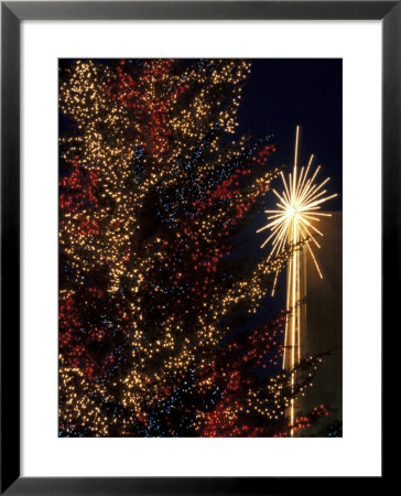 Holiday Decorations At Westlake Center, Seattle, Washington, Usa by Jamie & Judy Wild Pricing Limited Edition Print image