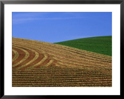 Cut Hayfield And Wheat In The Palouse, Whitman County, Washington, Usa by Julie Eggers Pricing Limited Edition Print image