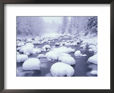 Fresh Snow Along Denny Creek, Cascade Mountains, Washington, Usa by Darrell Gulin Pricing Limited Edition Print image
