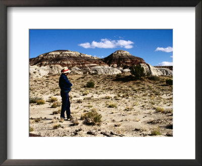 De-Na-Zin Blm Wilderness Area, U.S.A. by Curtis Martin Pricing Limited Edition Print image