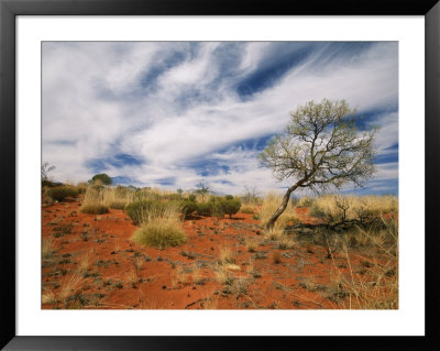 Sand Dune Formations At Uluru National Park by Richard Nowitz Pricing Limited Edition Print image