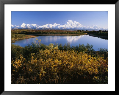 Fall Colors, Lake, Mount Mckinley, And The Alaska Range by Rich Reid Pricing Limited Edition Print image