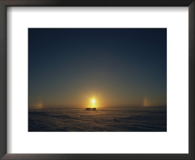 A Distant View Of Silhouetted Musk-Oxen (Ovibos Moschatus) by Norbert Rosing Pricing Limited Edition Print image