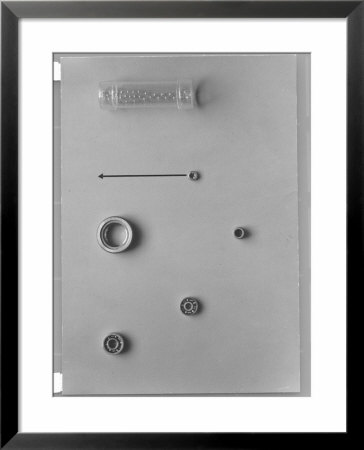 Still Life By Walker Evans Of Precision Instrument Ball Bearings by Walker Evans Pricing Limited Edition Print image