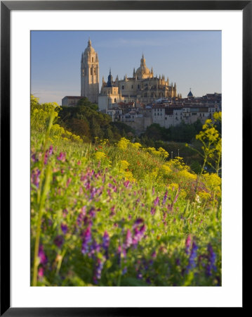 Segovia, Castilla Y Leon, Spain by Peter Adams Pricing Limited Edition Print image