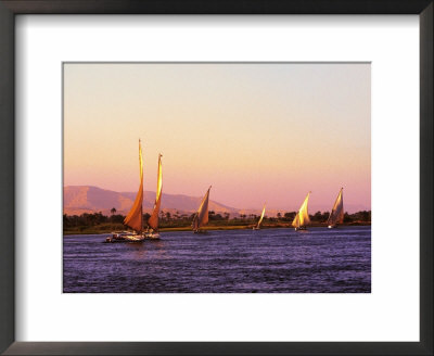 Sailboats, Feluccason Nile River, Egypt by Jacob Halaska Pricing Limited Edition Print image