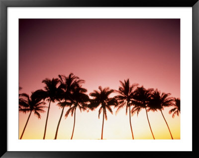 Sunset Kohala Coast, Hawaii by Peter French Pricing Limited Edition Print image