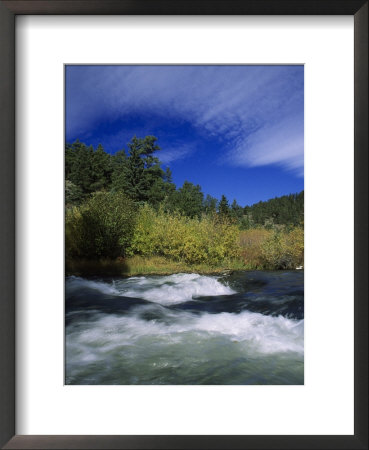 Trout Stream At Snake River Near Jackson Hole, Wy by Bruce Clarke Pricing Limited Edition Print image