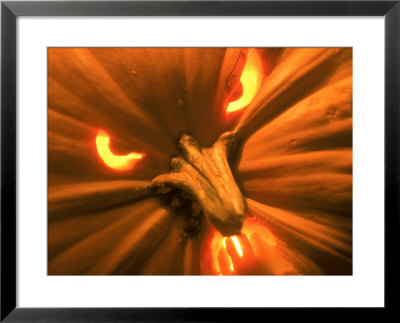 Close-Up Of Jack O'lantern by Shmuel Thaler Pricing Limited Edition Print image