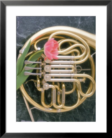 French Horn With A Tulip by Martin Fox Pricing Limited Edition Print image