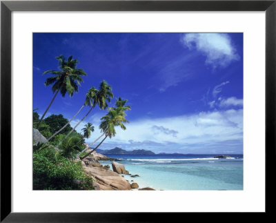 Palm Trees And Ocean, La Digue, Seychelles by David Ball Pricing Limited Edition Print image