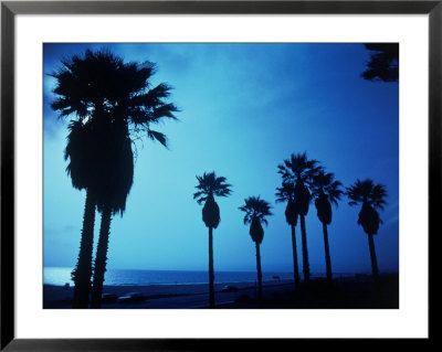 Silhouetted Palm Trees, Santa Monica, Ca by Josh Mitchell Pricing Limited Edition Print image