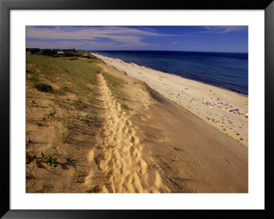 Bluff Above Maguire Landing, Cape Cod, Ma by Jeff Greenberg Pricing Limited Edition Print image