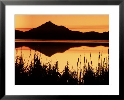 Sunset And Lake, Mt. Shasta, Ca by Kyle Krause Pricing Limited Edition Print image