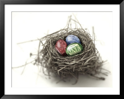 Us Money Painted On Eggs In Nest by Jon Riley Pricing Limited Edition Print image