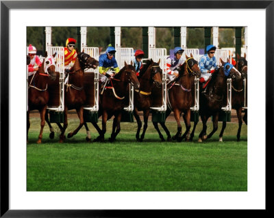 Horseracing, Start Gate, Australia by Peter Walton Pricing Limited Edition Print image