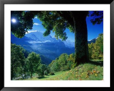 Wengwald, Switzerland by Peter Adams Pricing Limited Edition Print image