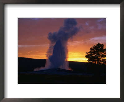 Old Faithful Geyser At Sunset, Yellowstone National Park, Usa by Carol Polich Pricing Limited Edition Print image