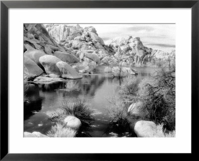 Barker Dam, Joshua Tree National Park, California, Usa by Janell Davidson Pricing Limited Edition Print image